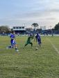 Copa Futebol de Campo deste ano reunirá cinco equipes 